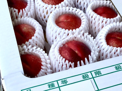 極甘！とれたてネク桃・ハネージュA品（約1㎏）