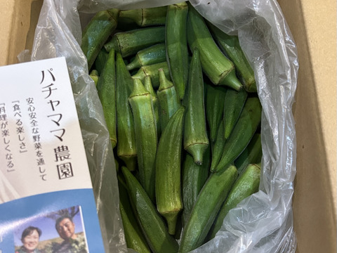 オクラ60本　緑オクラのみ　発送タイミングおまかせ