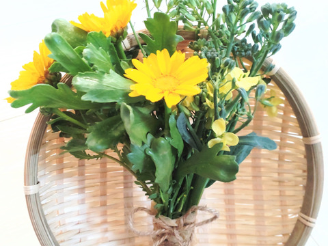 エディブルフラワーの花束❀ 食用になる花束❀ブロッコリー、春菊、ルッコラの花束❀各３束ずつ（合計９束）