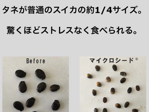 ❣️種ごと食べられる❣️薄皮極甘シャリシャリ食感小玉西瓜【ピノガール】2玉3.5kg以上《大阪府エコ農産物“大阪産（もん）”農薬・化学肥料不使用認証》