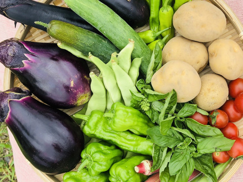 (単身者向け)未来へつなぐ 固定種・在来種 自然栽培野菜セット60サイズ　農薬不使用　有機肥料含む全ての肥料不使用