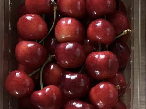 2026年予約販売山形県産さくらんぼ　やまがた紅王  特秀　桐箱　3L、4L