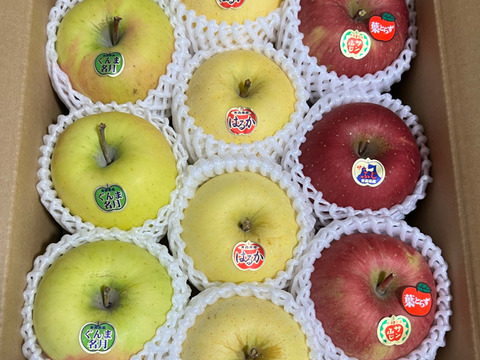 🍎🍏人気の3種🍎🍏定番ふじ・人気のぐんま・貴重なはるか　美味しい3種ミックス🍎贈答用３キロ【冬ギフト】
