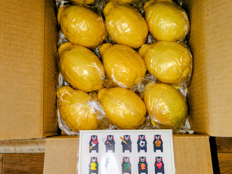 大きなレモン🍋りのか🍋3キロ