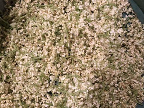 tom様専用、新じゃが男爵4キロ、ドライエルダーフラワー、山柚子の陳皮セットのお品物です。