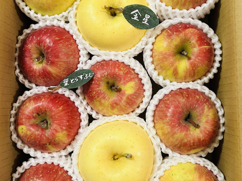 ★★大幅値下げ★★【アワード受賞福袋】【食べ比べ】🍎葉とらずふじ⭐️金星（９～１１玉）約３キロ箱 ID179783 青森 りんご