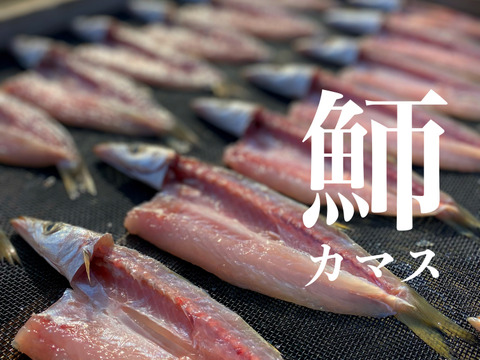 綱元漁師★天日干し干物ギフト箱セット【母の日ギフト】