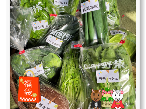 【2026福袋☆初売り！2～3人様🎁】福いっぱい！お得いっぱい！新春詰め合わせ箱☆🥗🍠🥦＋和歌山産果物付き🍊🍋