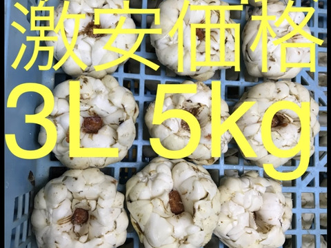 北海道産 ゆり根 3L 5kg お徳用 大特価 野菜