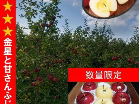 青森県産りんご　高級りんご　糖度13%以上保証　数量限定★★★りんごミックス　約3キロ