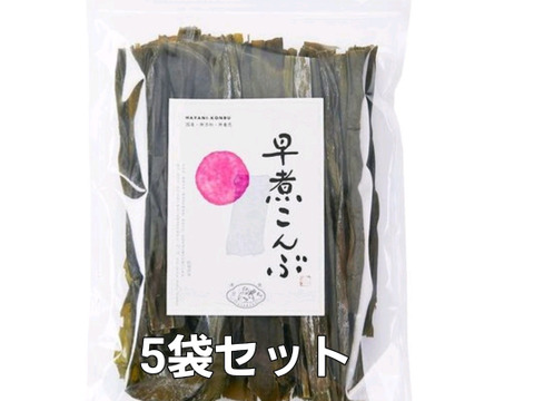 【新物】旨味の宝庫こんぶ たけのこ煮や味噌汁に観音崎産早煮昆布(70g)5袋セット