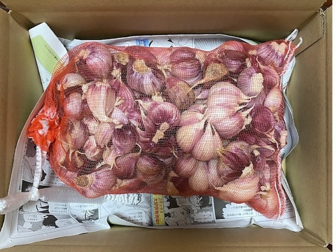 スーパーマーケットでは中々手に入らない　茨城県産　霧島にんにく　バラ2kg