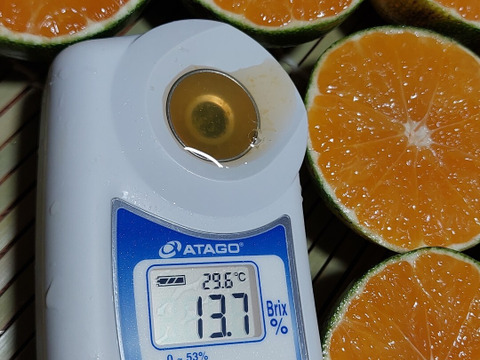 有田みかん【小粒小玉】2kg（箱込）