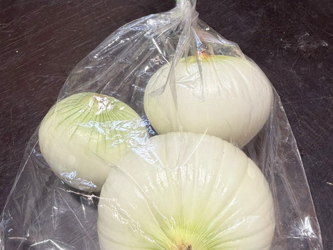 生で食べて欲しい！甘くて美味しい新タマネギ　5ｋｇ