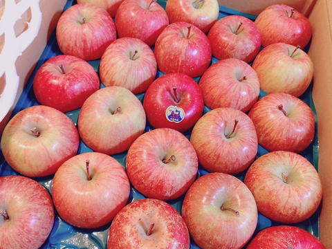 青森県産りんご 蜜入り 　旨いに自信アリ！！
【メディアや新聞からお声が掛かり注文殺到】
在庫が少ないので大特価となっております。

極み自然オリジナル農法りんご栽培家庭用葉とらずサンふじ５kg