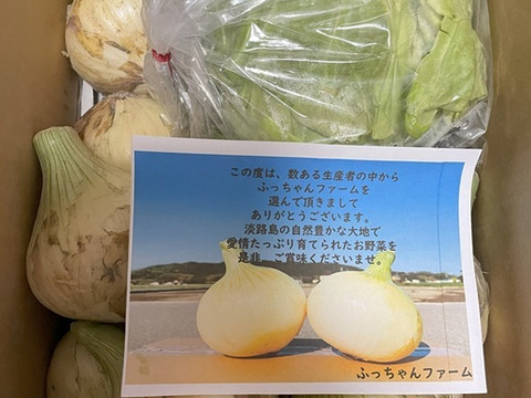 《数量限定》【淡路島産】昨年大好評の 極早生新玉ねぎ 3kgと春キャベツ詰め合わせ