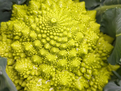 ともちゃん厳選！春の野菜セット