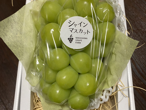 夏ギフト】 エメラルドグリーンの輝き！矢掛町産シャインマスカット一