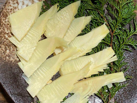 【送料無料】 産地直送！「鹿児島県産たけのこ」 3キロ：鹿児島県産の孟宗竹 野菜