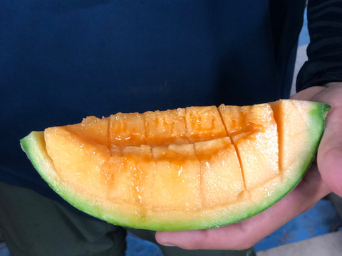 【数量限定】【夏ギフト】【父の日ギフト】【お中元】糖度15度以上必須! スッキリした甘さがやみつきに♡ / イイオカタカミレッド(赤肉メロン)♦︎1玉入