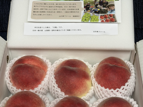 すぐ発送！🍑朝採れ山梨白桃】約2キロ！特大～大サイズ6～7個！一度