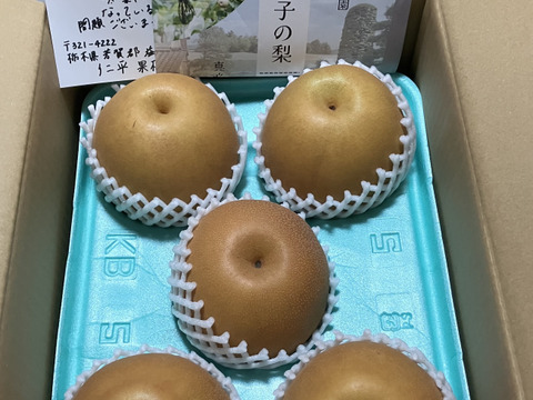 ※訳あり※ 栃木県ブランド梨 にっこり 3㎏