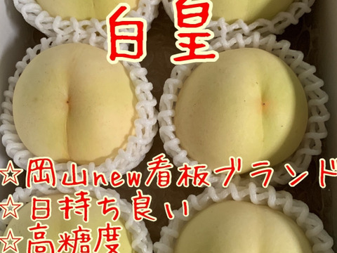 【進物用】ロイヤル♡7品種甘い岡山白桃♡約2kg箱5〜8個入り