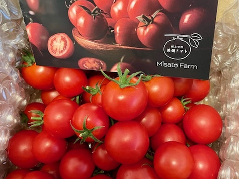 【朝どれ】本当に甘い！美健トマト®︎（1.0キロ）　※特別価格で販売中