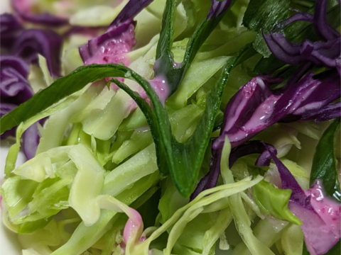 ともちゃん厳選！春の野菜セット