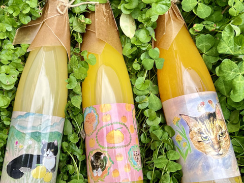 【限定品】お得な飲み比べセット！ねこ農園柑橘ジュースアソート3本セット