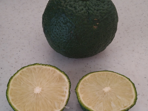 じゃばら果汁とシロップのセット