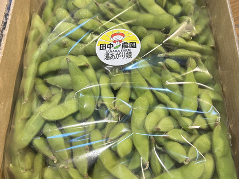 【朝どれ】1度お試しください！味が濃厚！千葉県船橋産こだわり枝豆！1㎏