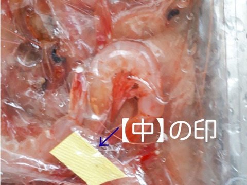 トロけるような旨みと甘みをもつトロえび（中）40尾前後/500ｇ