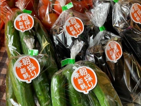 【味や実入りはA級品】訳あり朝どれ新鮮きゅうり！埼玉本庄産／常温配送5㎏（25〜30本）