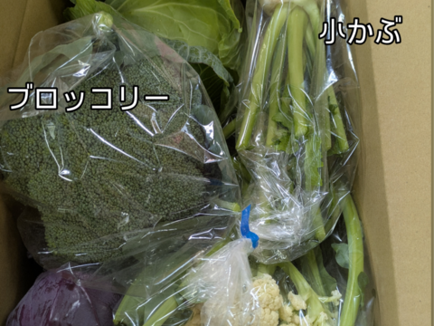 ❄️☃️冬の野菜セット☃️❄️