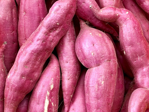 日替わり「さつまいも」2種類セット！色々なサイズ入り  5キロ箱【訳あり】