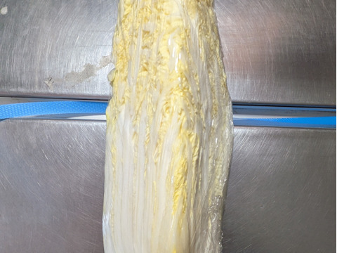 リンゴ、お米、青大豆、白菜