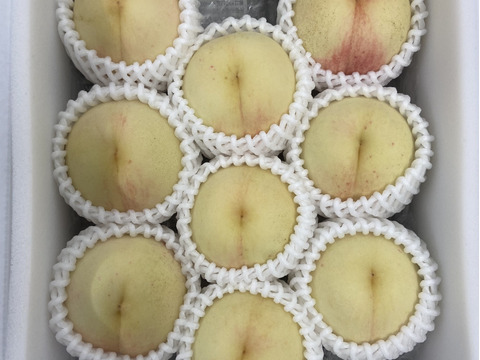 岡山県産 『桃水』 今年最後の品種です‼️