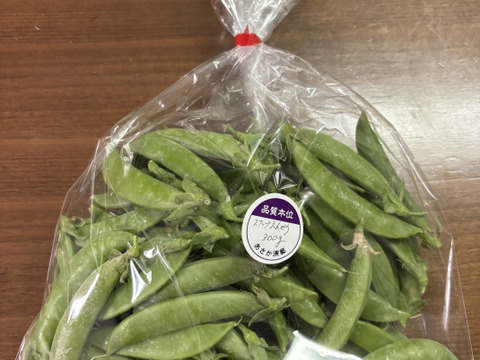 初夏の味わい！農薬不使用・スナップえんどう食べ切り300g