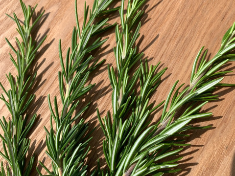 農薬化学肥料不使用　新じゃが【インカのめざめ】＆ローズマリー少量