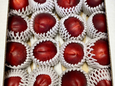 濃厚ネクタリン黎明 A品（約3㎏）