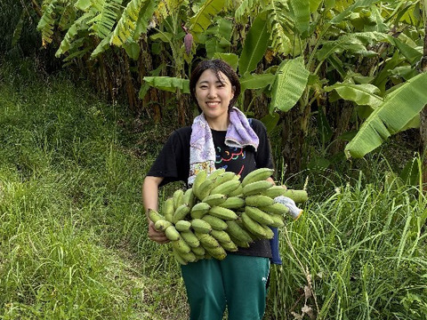 冷凍ナムワバナナ500g・３P