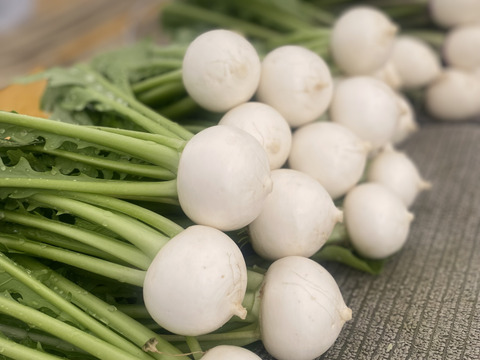 栽培期間中：農薬不使用】季節の彩り野菜セット Mサイズ：長野県