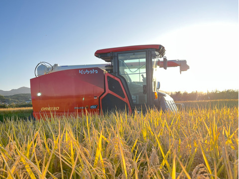 特別權之丞米【まっしぐら】玄米5kg