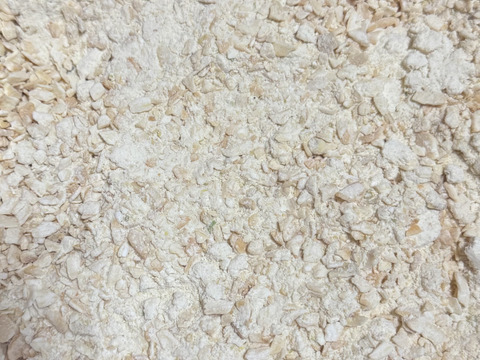 有機肥料　農薬無使用　発芽にんにく粉末パウダー　粒粗め　45g