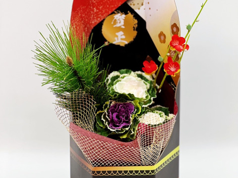 【早割り】葉牡丹　迎春クラフトBOX  六花(りっか）2種類セット