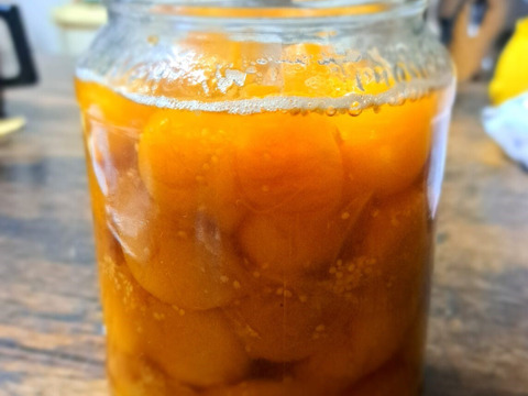 甘酸っぱくてまるでトロピカルフルーツ！「食用ほおずき」100g×8パック/栽培期間中農薬、化学肥料、除草剤不使用