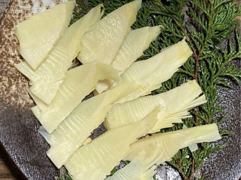 早堀りたけのこ　鹿児島県産　1キロ箱込　白子筍　野菜　農薬不使用 竹の子