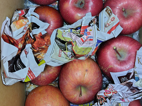 葉とらずサンふじ　家庭用B品　たっぷり10キロ箱　JA基準より60％減の低農薬栽培