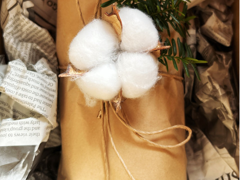 【クリスマス時期限定：12月19日(金)発送】自家製自然栽培ドライフルーツたっぷりの『里山ペイザンヌシュトーレン』